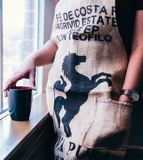 Gift Cards, Brewing, Merch and More – Java Pura