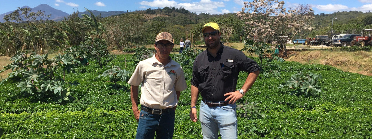 San Victor – Java Pura