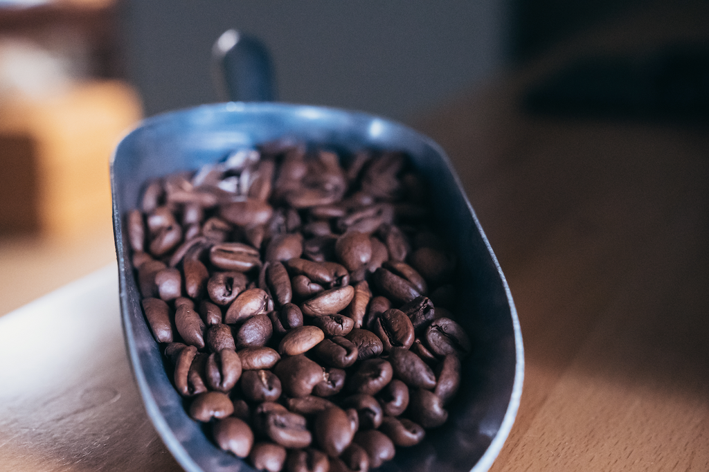 New Releases – Java Pura