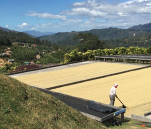 Java Pura Specialty Coffee Roasters and Catering | Houston, TX